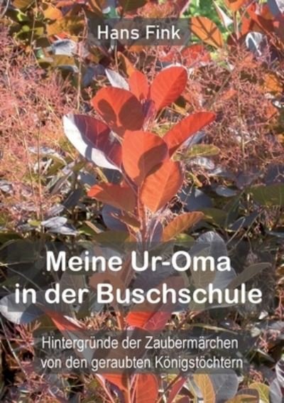 Cover for Hans Fink · Meine Ur-Oma in der Buschschule (Bok) (2022)