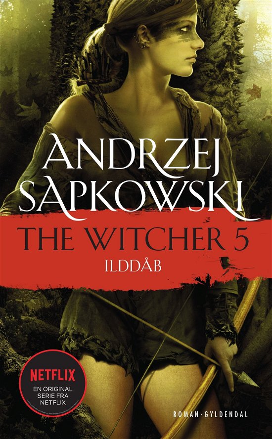 Cover for Andrzej Sapkowski · Witcher-serien: THE WITCHER 5 (Sewn Spine Book) [1st edition] (2022)