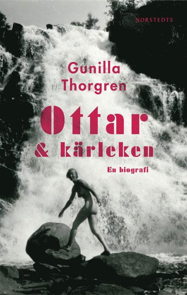 Cover for Gunilla Thorgren · Ottar och kärleken (ePUB) (2011)