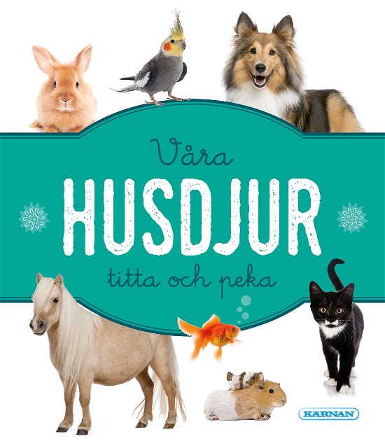 Cover for Våra husdjur - Titta och peka (Kartongbok) (2023)