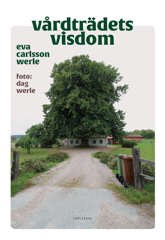 Cover for Eva Carlsson Werle · Vårdträdets visdom : svenska vårdträd i folktro och tradition (Hardcover Book) (2023)