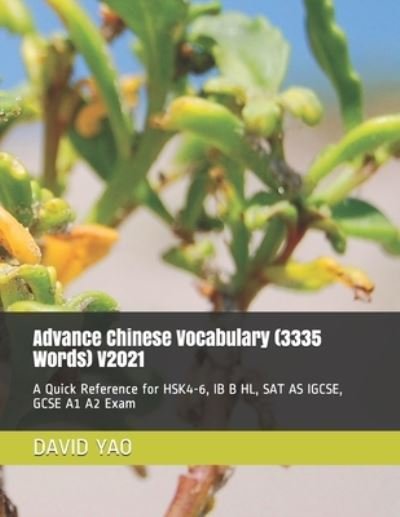 Cover for David Yao · Advance Chinese Vocabulary (3335 Words) V2021: A Quick Reference for HSK4-6, IB B HL, SAT AS IGCSE, GCSE A1 A2 Exam - Classified Chinese Vocabulary (Taschenbuch) (2021)