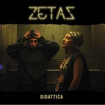 Cover for Zetas · Didattica (LP) (2023)