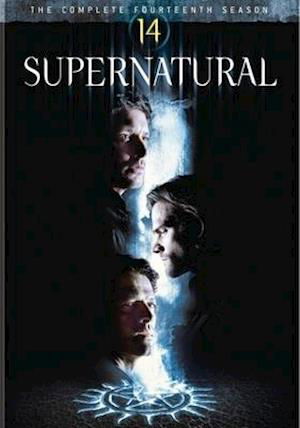 Cover for Supernatural: Complete Fourteenth Season (DVD) (2019)