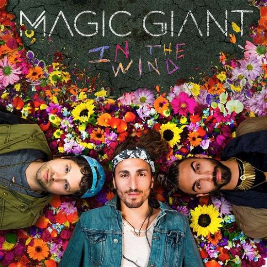 Magic Giant · In The Wind (CD) (2017)