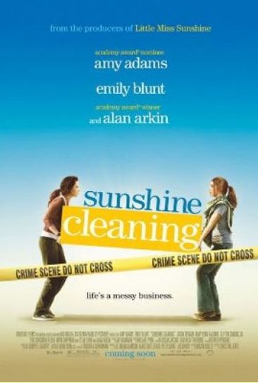 Sunshine Cleaning - -  - Filme - HAU - 5706710216896 - 25. September 2023