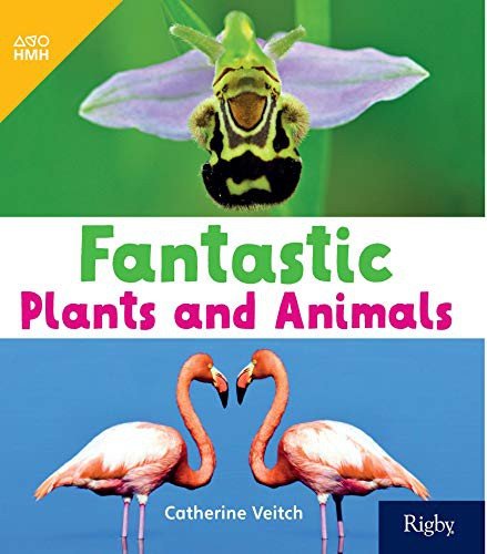 Cover for Houghton Mifflin Harcourt · Fantastic Plants and Animals : Leveled Reader Grade 1 (Paperback Book) (2019)