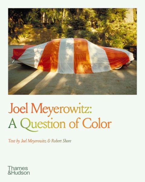 Cover for Joel Meyerowitz · Joel Meyerowitz: A Question of Color (Paperback Bog) (2023)