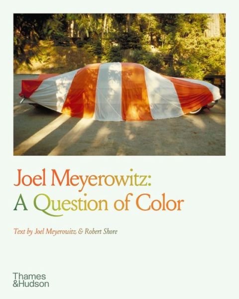 Cover for Joel Meyerowitz · Joel Meyerowitz: A Question of Color (Paperback Book) (2023)
