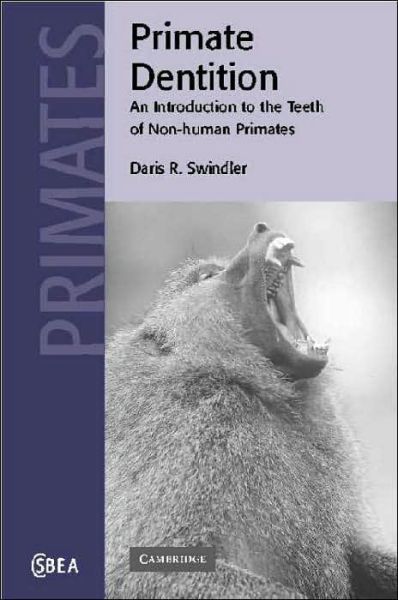 Cover for Swindler, Daris R. (University of Washington) · Primate Dentition: An Introduction to the Teeth of Non-human Primates - Cambridge Studies in Biological and Evolutionary Anthropology (Hardcover Book) (2002)