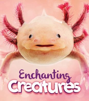Cover for Camilla De la Bedoyere · Enchanting Creatures (Inbunden Bok) (2022)