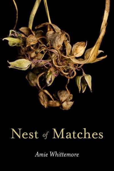 Cover for Amie Whittemore · Nest of Matches (Paperback Book) (2024)