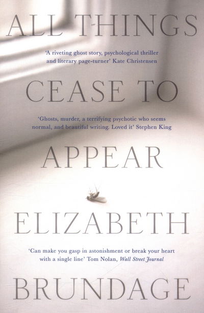Cover for Elizabeth Brundage · All Things Cease to Appear: now a major Netflix new release Things Heard and Seen (Paperback Book) (2017)