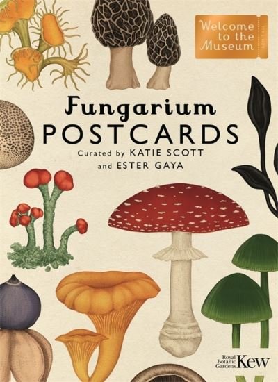 Fungarium Postcards - Welcome To The Museum - Katie Scott - Libros - Templar Publishing - 9781787419896 - 30 de septiembre de 2021