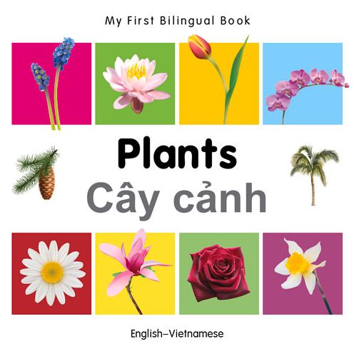 Cover for Milet · My First Bilingual Book -  Plants (English-Vietnamese) - My First Bilingual Book (Board book) [Brdbk Blg edition] (2014)