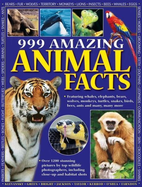 Cover for Armadillo · 999 Amazing Animal Facts (Paperback Bog) (2013)