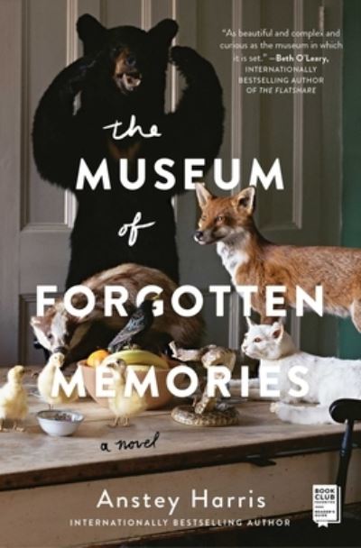 Cover for Anstey Harris · The Museum of Forgotten Memories (Paperback Book) (2020)