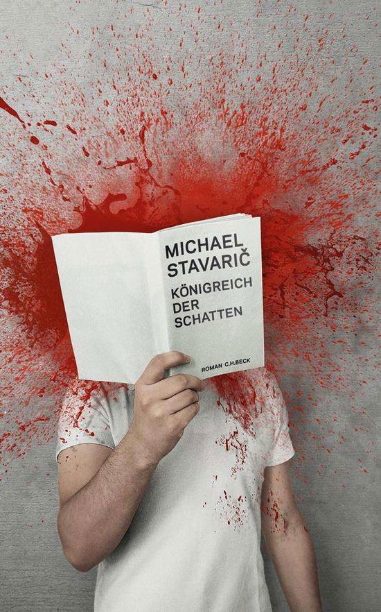 Cover for Michael Stavaric · KÃ¶nigreich Der Schatten (Book)