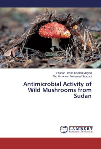 Cover for Abd Almoneim Mohamed Saadabi · Antimicrobial Activity of Wild Mushrooms from Sudan (Taschenbuch) (2014)