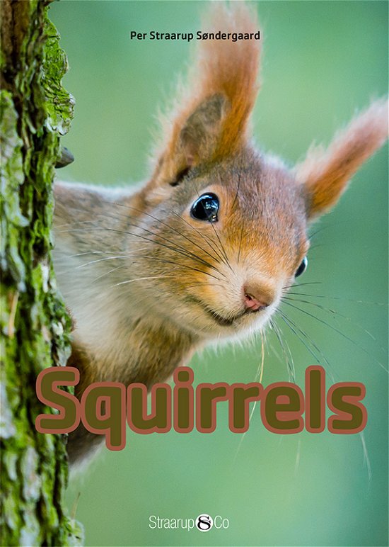 Cover for Per Straarup Søndergaard · Mini English: Squirrels (Hardcover Book) [1e uitgave] (2018)