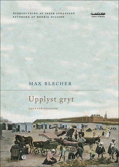 Cover for Max Blecher · Upplyst gryt : sanatoriedagbok (Bok) (2021)