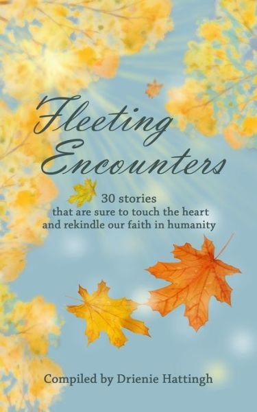 Cover for Drienie Hattingh · Fleeting Encounters (Paperback Book) (2020)