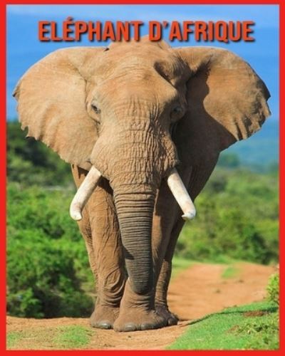 Cover for Annie Nichols · Elephant d'Afrique (Paperback Book) (2021)