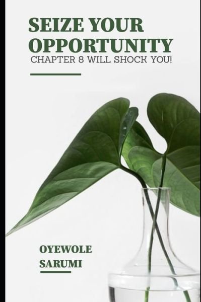 Cover for Oyewole O Sarumi · Seize Your Opportunity.: Chapter 8 will shock you (Paperback Book) (2021)