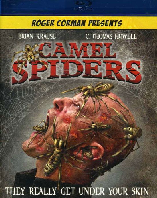 Camel Spiders - Camel Spiders - Movies - Anchor Bay - 0013132297897 - March 27, 2012