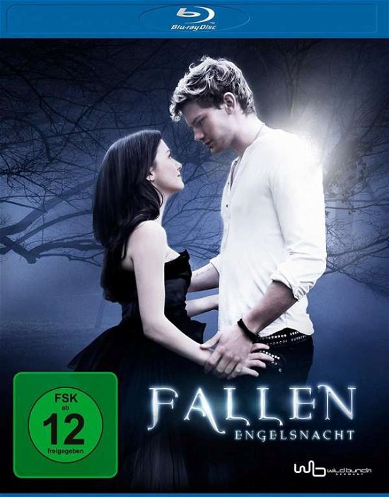 Cover for Fallen-engelsnacht BD (Blu-ray) (2017)