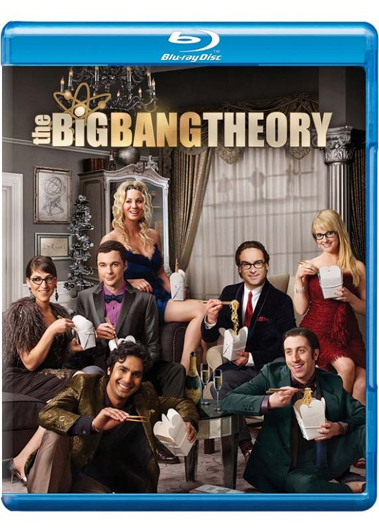 The Big Bang Theory Season 8 - The Big Bang Theory Season 8 - Film - Warner Bros - 5051892189897 - 14. september 2015