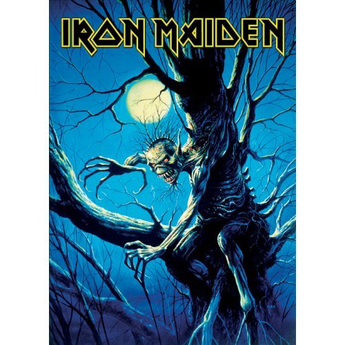 Iron Maiden Postcard: Fear of the Dark (Standard) - Iron Maiden - Bücher - Global - Accessories - 5055295313897 - 