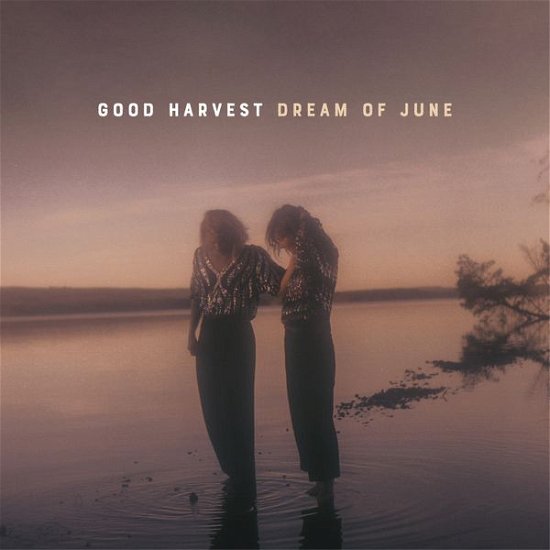 Cover for Good Harvest · Dream of June (LP) (2020)