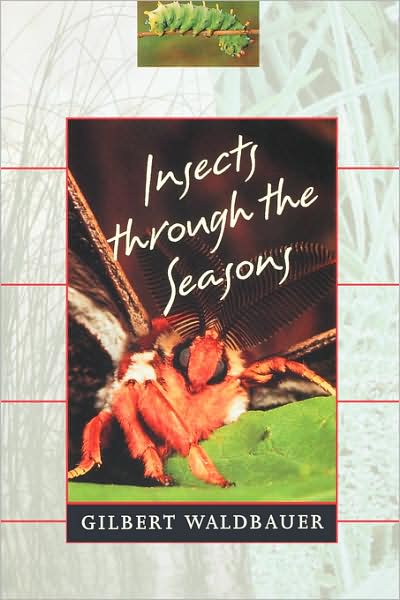 Cover for Gilbert Waldbauer · Insects through the Seasons (Paperback Book) [New edition] (1998)