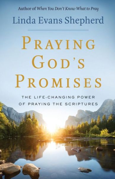 Praying God's Promises – The Life–Changing Power of Praying the Scriptures - Linda Evans Shepherd - Bøger - Baker Publishing Group - 9780800723897 - 3. juli 2018