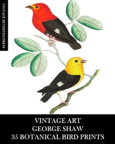 Cover for Vintage Revisited Press · Vintage Art (Paperback Book) (2024)