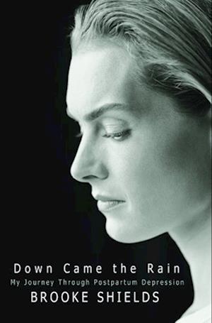 Down Came the Rain - Brooke Shields - Livres - HYPERION - 9781401301897 - 22 décembre 2010