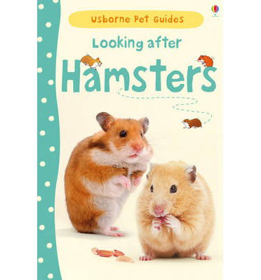 Looking after Hamsters - Pet Guides - Susan Meredith - Bøger - Usborne Publishing Ltd - 9781409561897 - 1. juni 2013