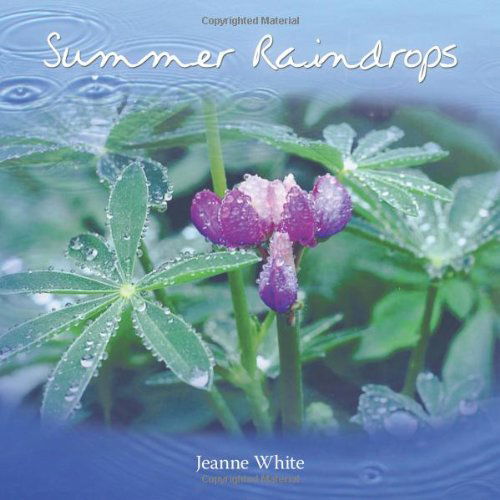 Jeanne White · Summer Raindrops (Paperback Book) (2011)