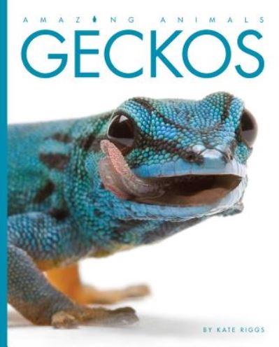 Cover for Kate Riggs · Amazing Animals: Geckos (Hardcover Book) (2015)