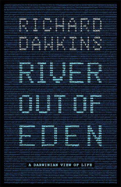 Cover for Prof Richard Dawkins · River Out of Eden: A Darwinian View of Life - Science Masters (Paperback Book) (2015)