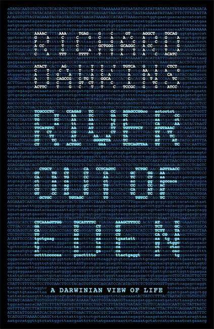 Cover for Prof Richard Dawkins · River Out of Eden: A Darwinian View of Life - Science Masters (Paperback Bog) (2015)