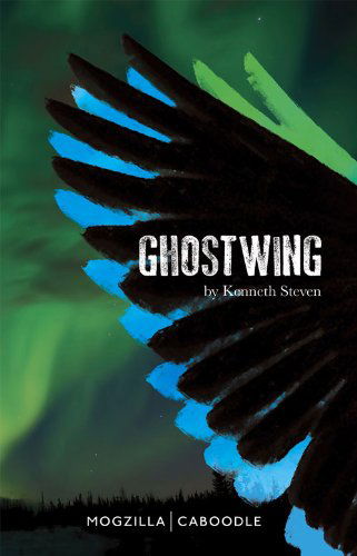 Ghostwing - Kenneth Steven - Książki - Mogzilla - 9781906132897 - 24 lipca 2013