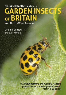 Cover for Gail Ashton · An Identification Guide to Garden Insects of Britain and North-West Europe - Identification Guides (Paperback Book) (2025)