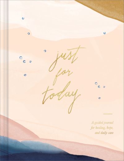 Cover for Amelia Riedler · Just for Today (Hardcover Book) (2020)