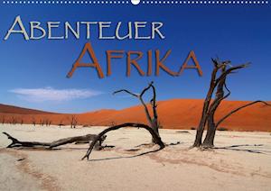 Cover for Pohl · Abenteuer Afrika (Wandkalender 202 (Book)