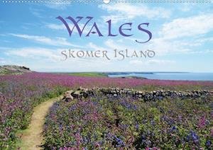 Cover for Uhl · WALES Skomer Island (Wandkalender 2 (Bog)