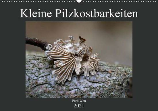 Cover for Won · Kleine Pilzkostbarkeiten (Wandkalen (Book)