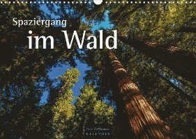 Cover for Nils Hoffmann · Spaziergang im Wald (Wandkalender 2022 DIN A3 quer) (Calendar) (2021)