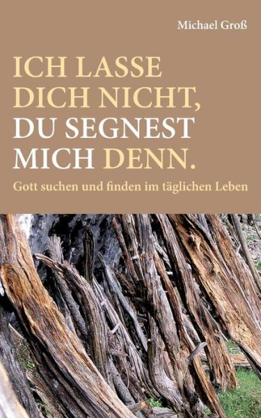 Ich lasse dich nicht, du segnest m - Groß - Books - - 9783740752897 - May 9, 2019